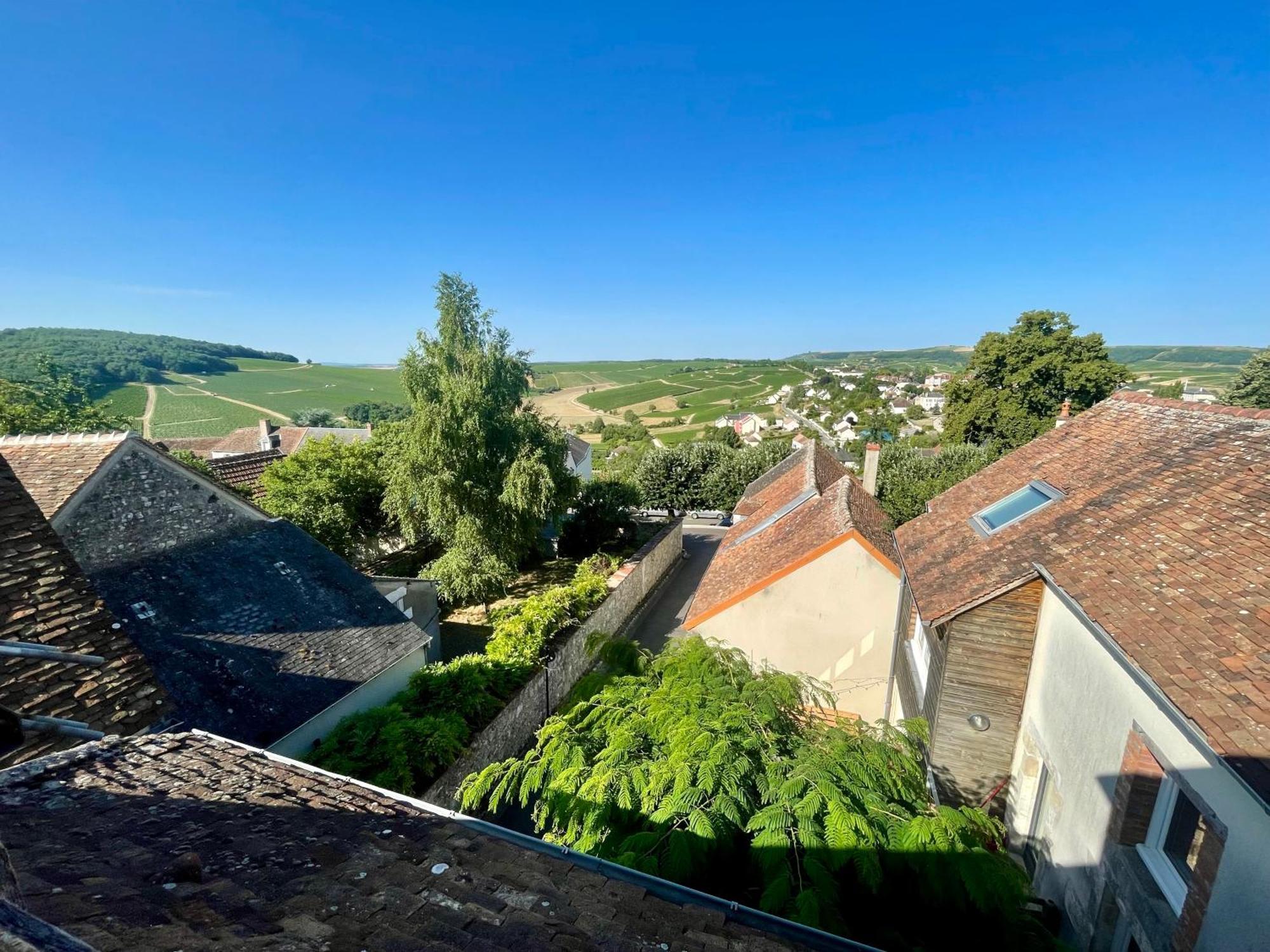 Appartement Cosy Vue Sur Le Vignoble 桑塞尔 外观 照片