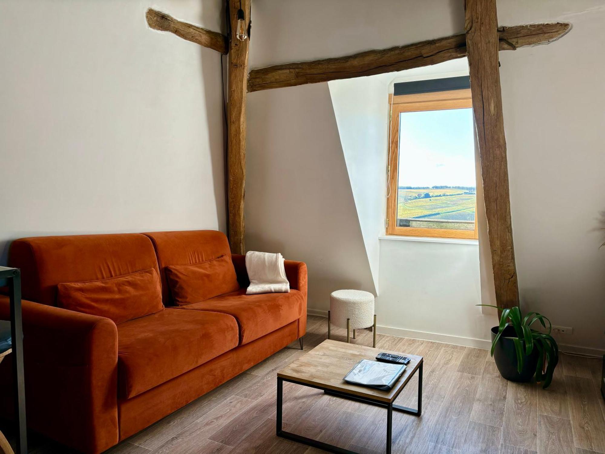 Appartement Cosy Vue Sur Le Vignoble 桑塞尔 外观 照片